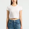 Standard Baby Tee